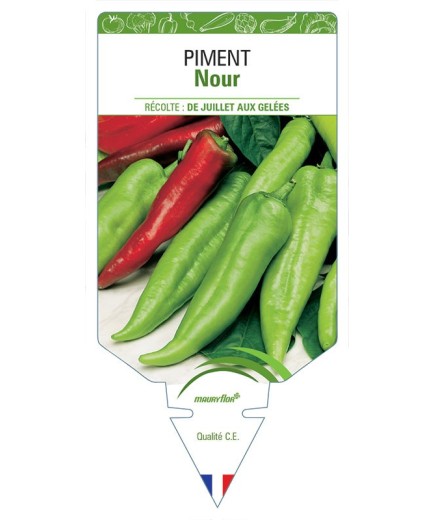 PIMENT NOUR