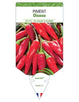 PIMENT OISEAU