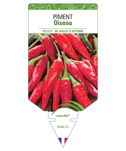 PIMENT OISEAU
