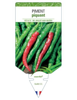 PIMENT PIQUANT