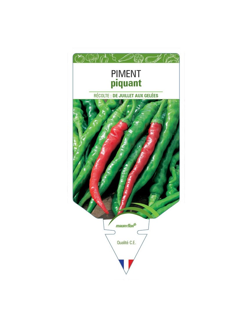PIMENT PIQUANT
