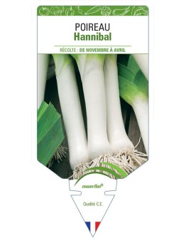 POIREAU HANNIBAL