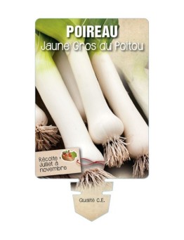 POIREAU JAUNE GROS DU POITOU
