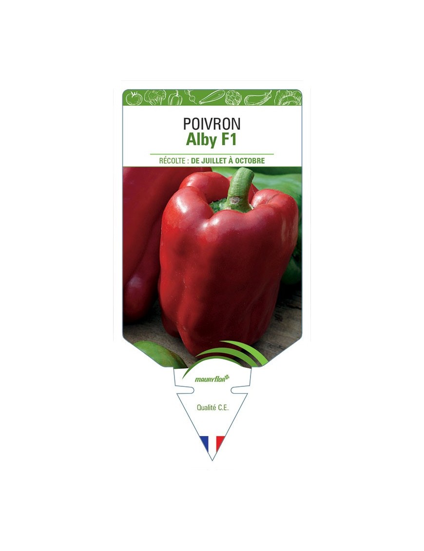 POIVRON ALBY F1