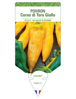 POIVRON CORNO DI TORO GIALLO