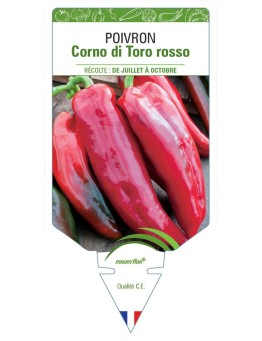 POIVRON CORNO DI TORO ROSSO
