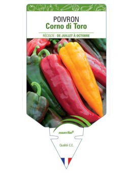 POIVRON CORNO DI TORO ROSSO (VARIÉ)