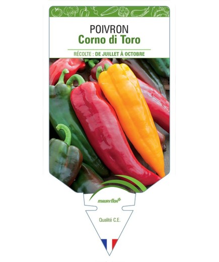 POIVRON CORNO DI TORO ROSSO (VARIÉ)