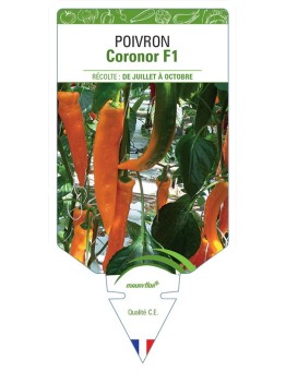 POIVRON CORONOR F1