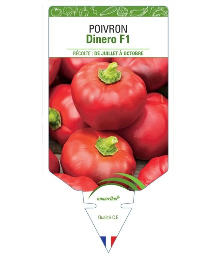 POIVRON DINERO F1