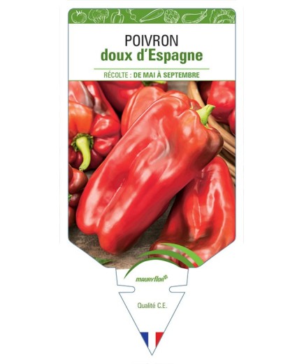 POIVRON DOUX D'ESPAGNE