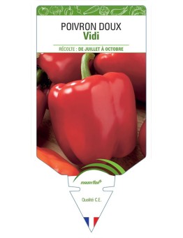 POIVRON DOUX VIDI