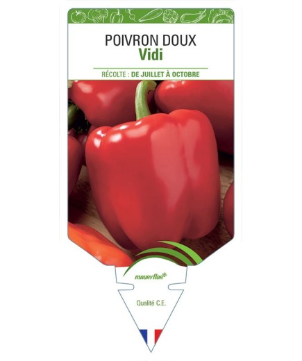 POIVRON DOUX VIDI