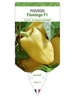 POIVRON FLAMINGO F1