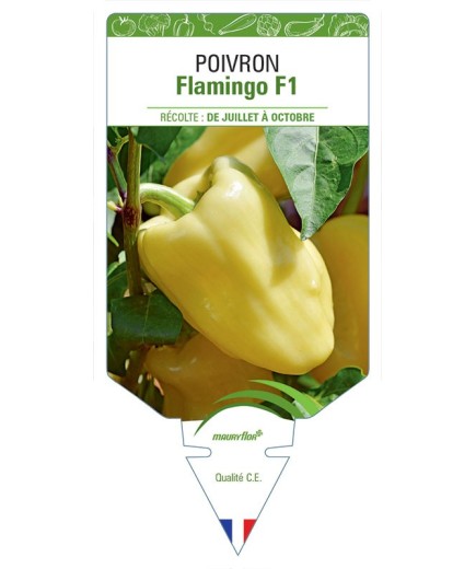 POIVRON FLAMINGO F1