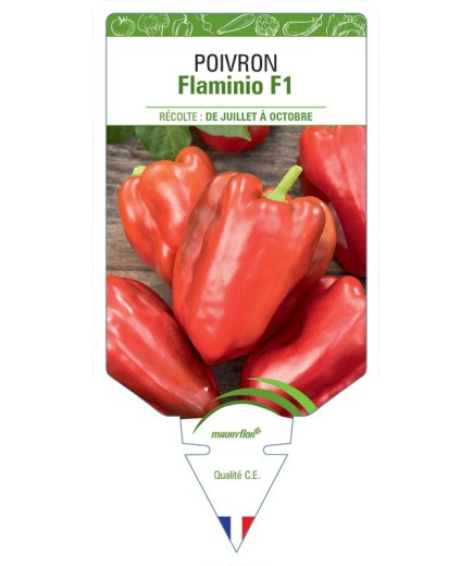 POIVRON FLAMINIO F1
