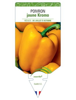 POIVRON JAUNE KROMO