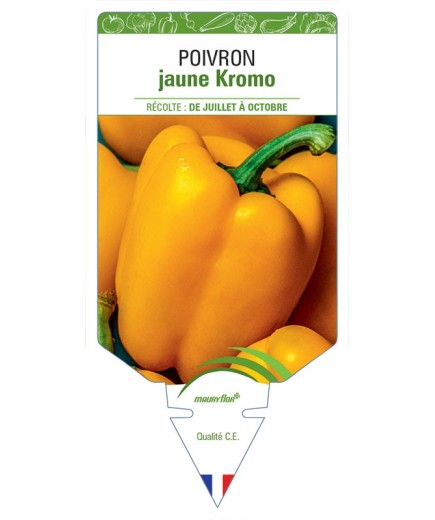 POIVRON JAUNE KROMO