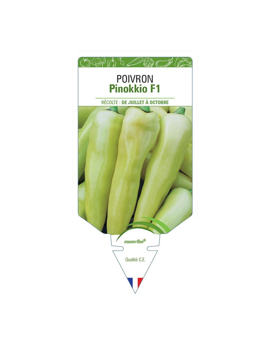 POIVRON PINOKKIO F1