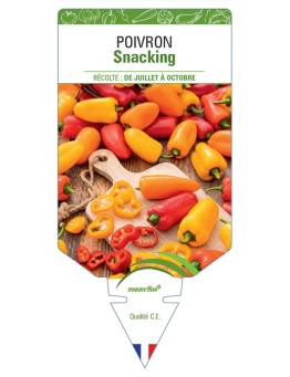 POIVRON SNACKING