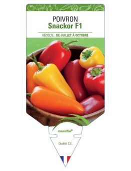 POIVRON SNACKOR F1