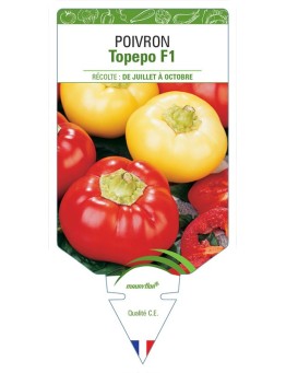 POIVRON TOPEPO F1