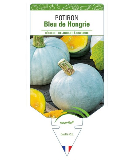 POTIRON BLEU DE HONGRIE