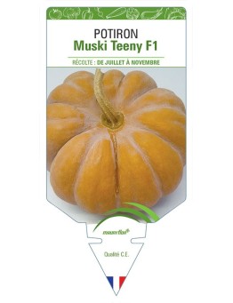 POTIRON MUSKI TEENY F1