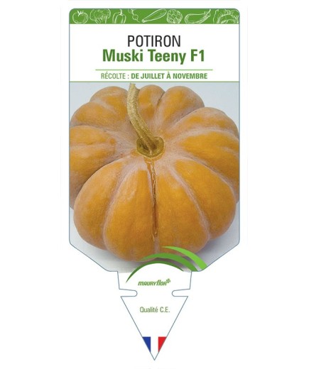 POTIRON MUSKI TEENY F1