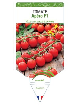 TOMATE APÉRO F1