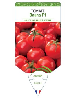 TOMATE BAUNA F1