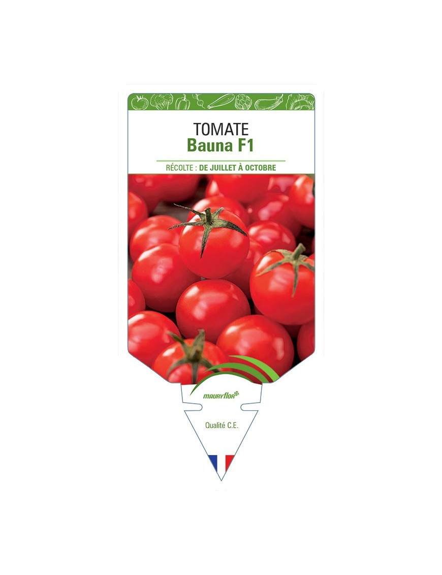 TOMATE BAUNA F1