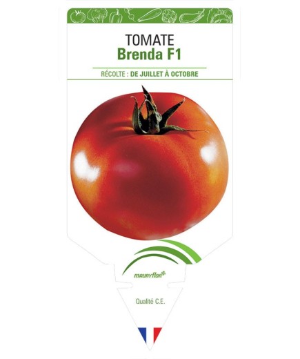 TOMATE BRENDA F1