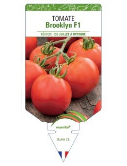 TOMATE BROOKLYN F1