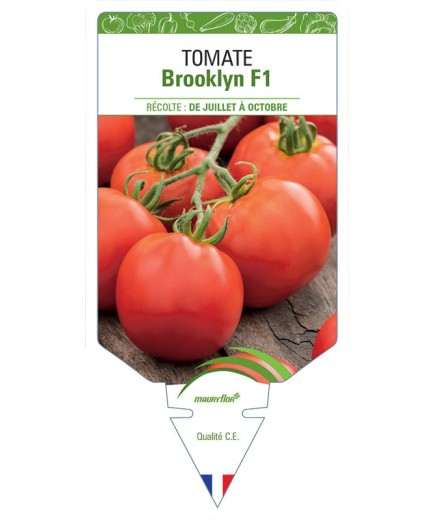 TOMATE BROOKLYN F1