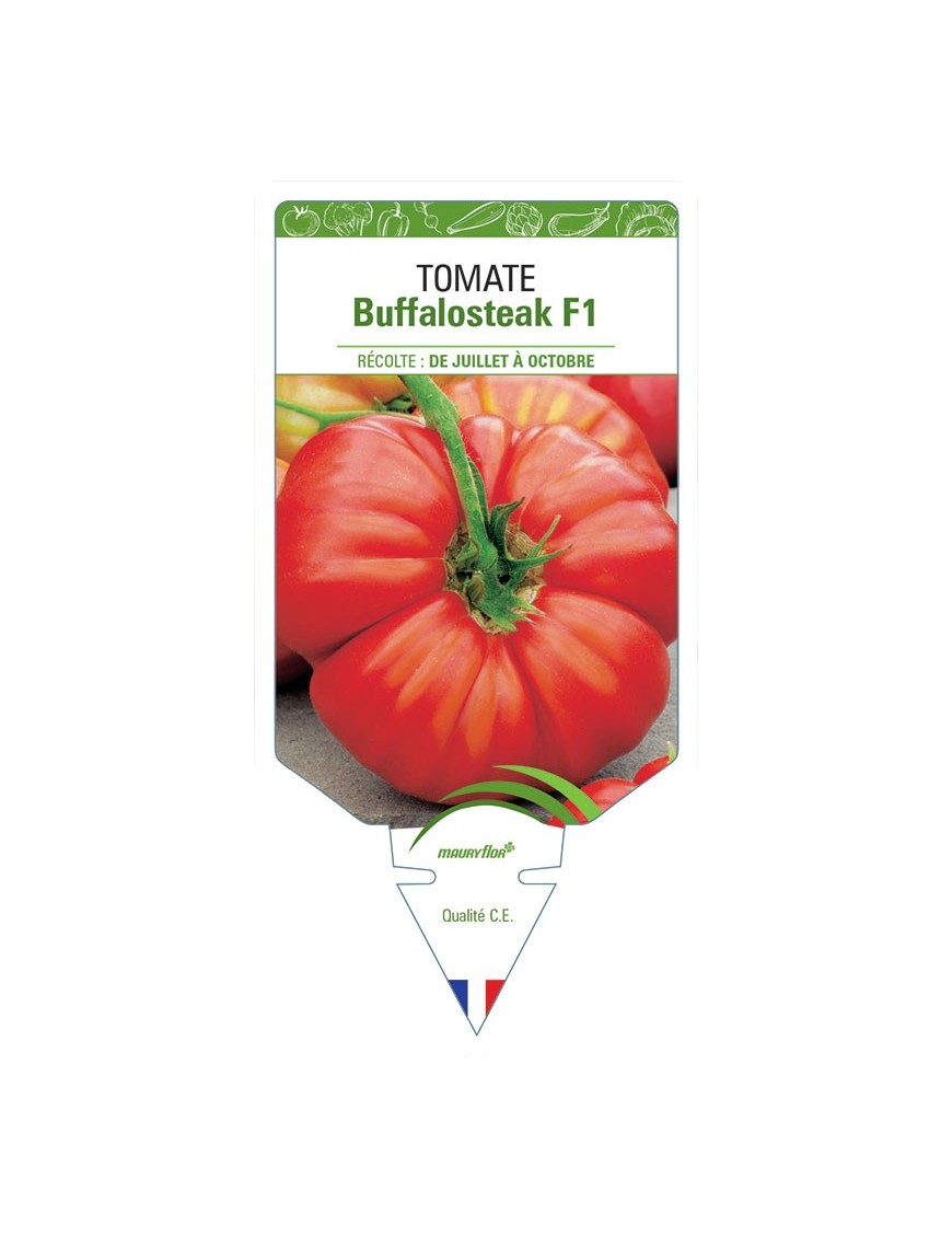 TOMATE BUFFALOSTEAK F1