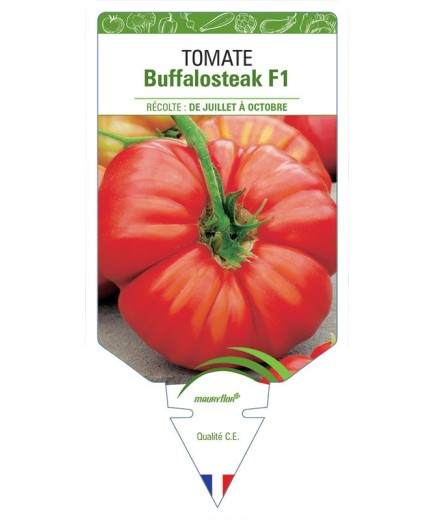 TOMATE BUFFALOSTEAK F1