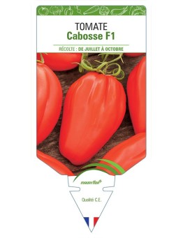 TOMATE CABOSSE F1