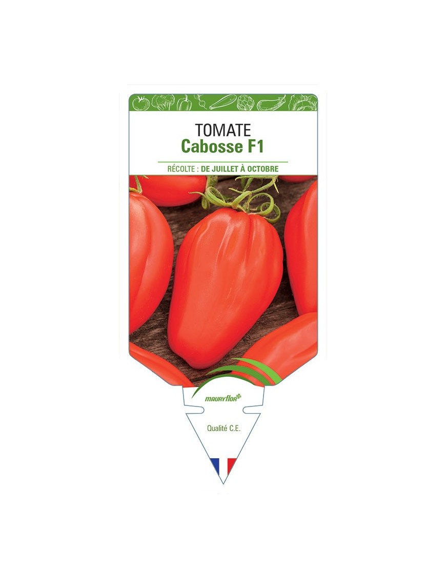 TOMATE CABOSSE F1