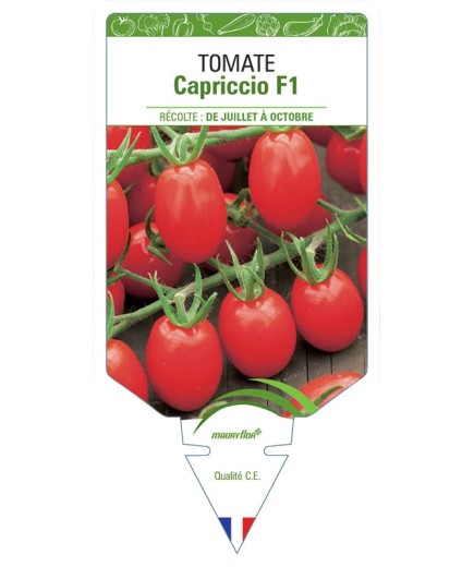 TOMATE CAPRICCIO F1