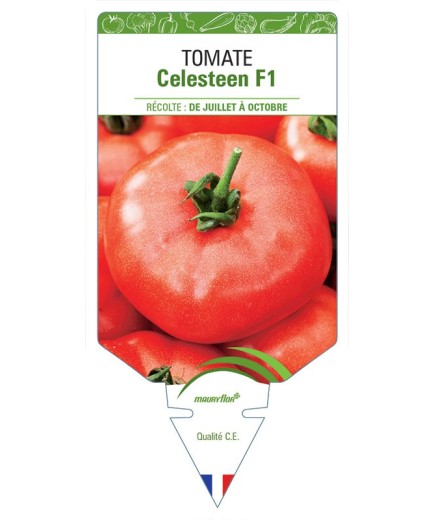 TOMATE CELESTEEN F1