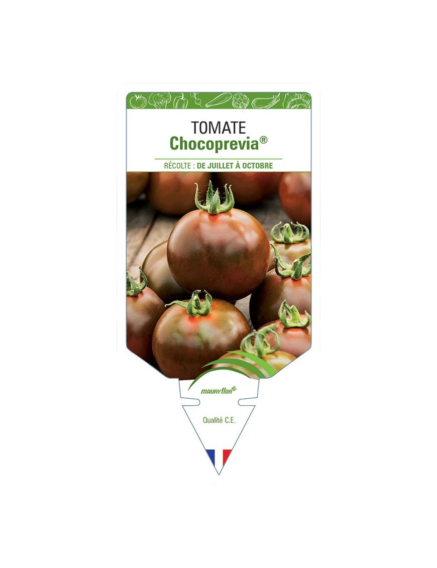 TOMATE CHOCOPREVIA®