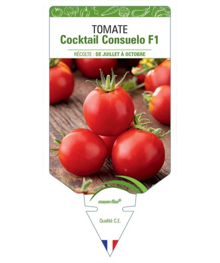 TOMATE COCKTAIL CONSUELO F1