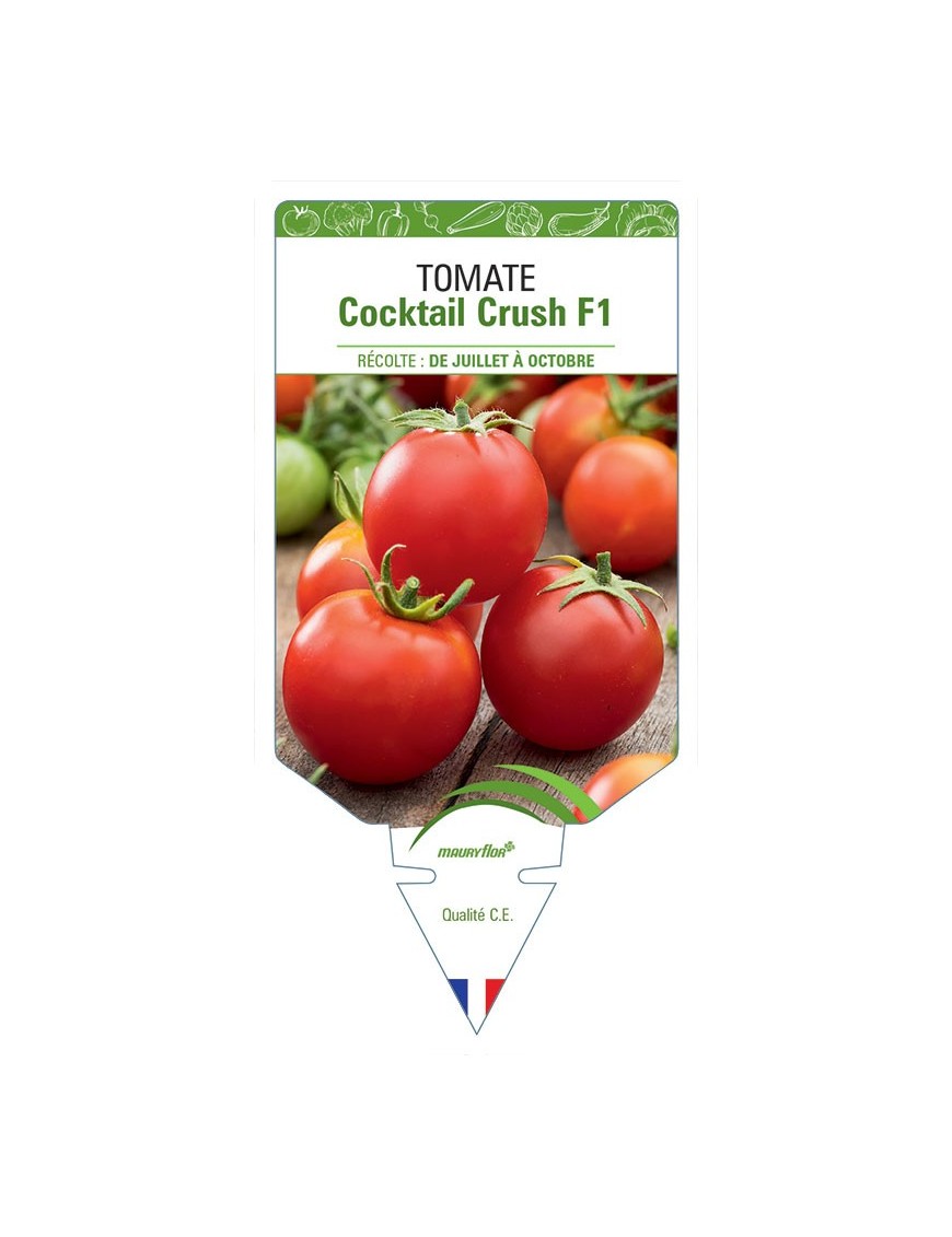 TOMATE COCKTAIL CRUSH F1