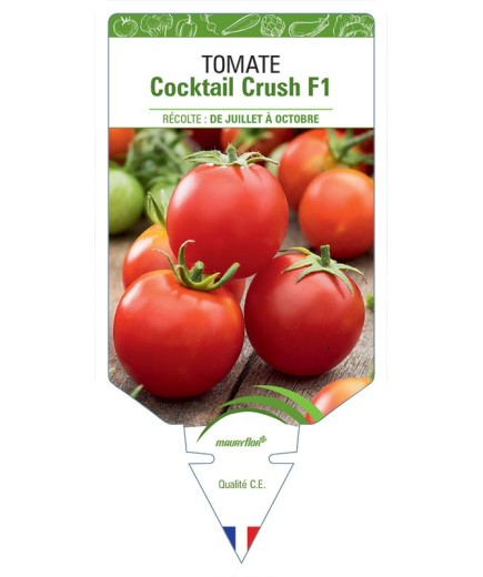 TOMATE COCKTAIL CRUSH F1