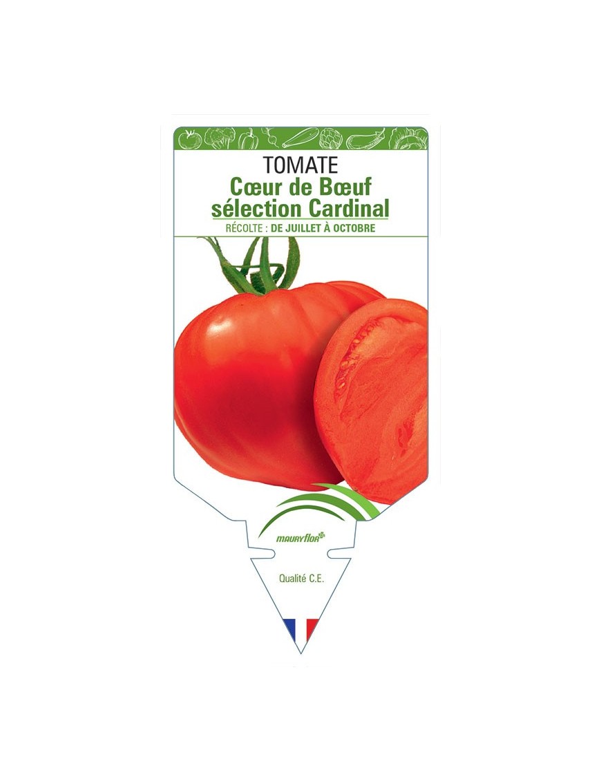 TOMATE CŒUR DE BŒUF SÉLECTION CARDINAL