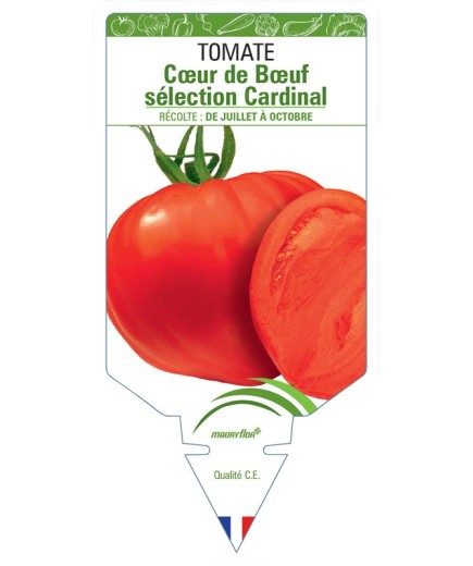 TOMATE CŒUR DE BŒUF SÉLECTION CARDINAL