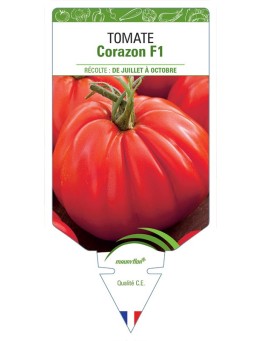 TOMATE CORAZON F1