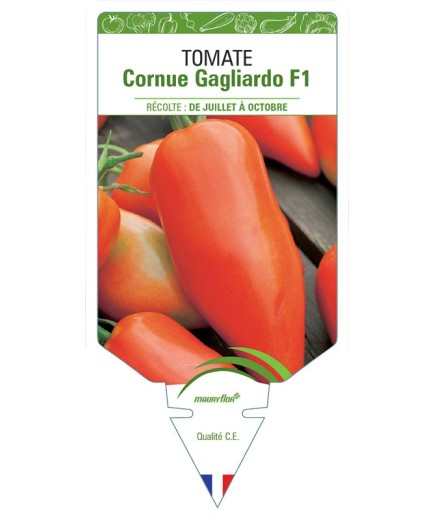 TOMATE CORNUE GAGLIARDO F1