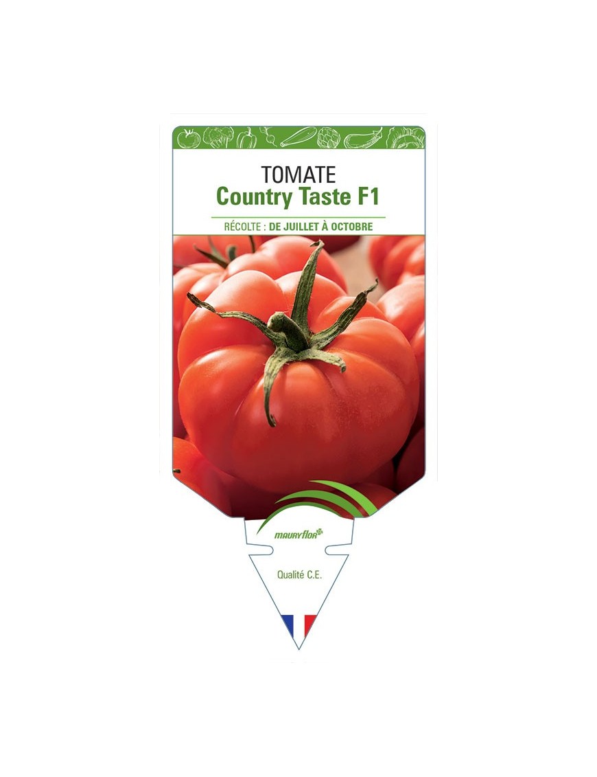 TOMATE COUNTRY TASTE F1
